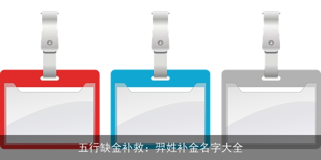 五行缺金补救：羿姓补金名字大全