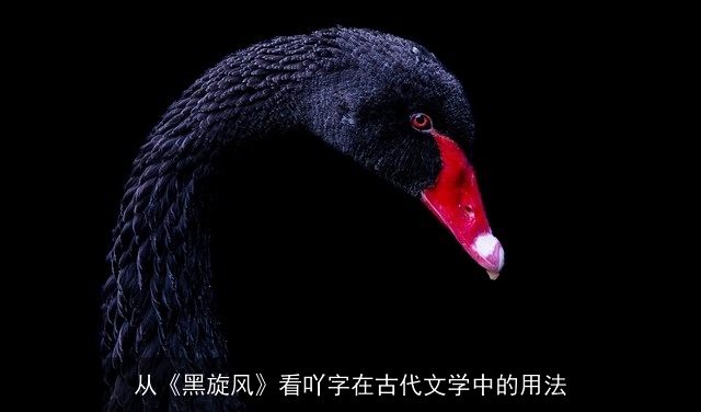从《黑旋风》看吖字在古代文学中的用法