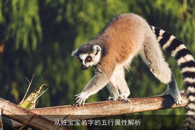 从姓宝宝名字的五行属性解析
