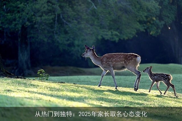 从热门到独特：2025年家长取名心态变化