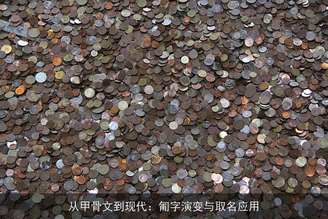从甲骨文到现代：匍字演变与取名应用