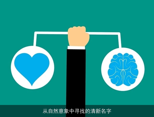 从自然意象中寻找的清新名字