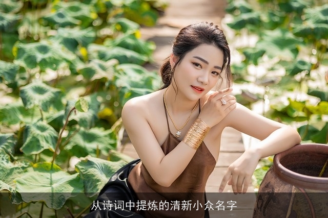 从诗词中提炼的清新小众名字
