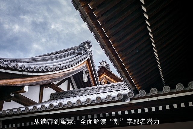 从读音到寓意：全面解读“割”字取名潜力