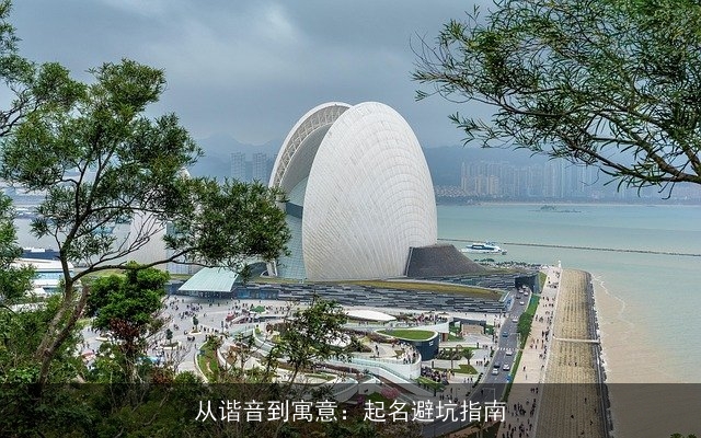 从谐音到寓意：起名避坑指南