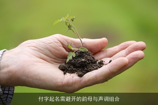 付字起名需避开的韵母与声调组合