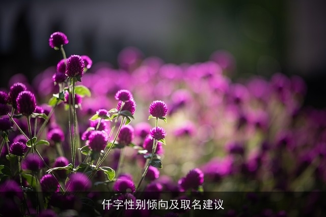 仟字性别倾向及取名建议