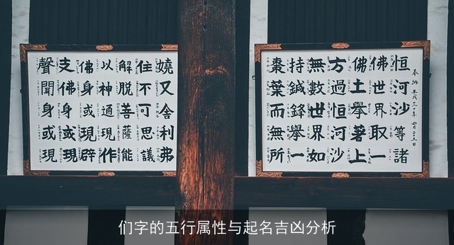们字的五行属性与起名吉凶分析