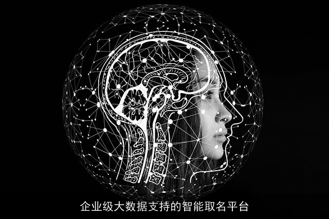 企业级大数据支持的智能取名平台