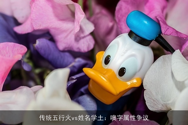 传统五行火vs姓名学土：噢字属性争议