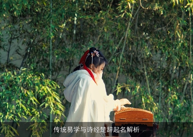 传统易学与诗经楚辞起名解析