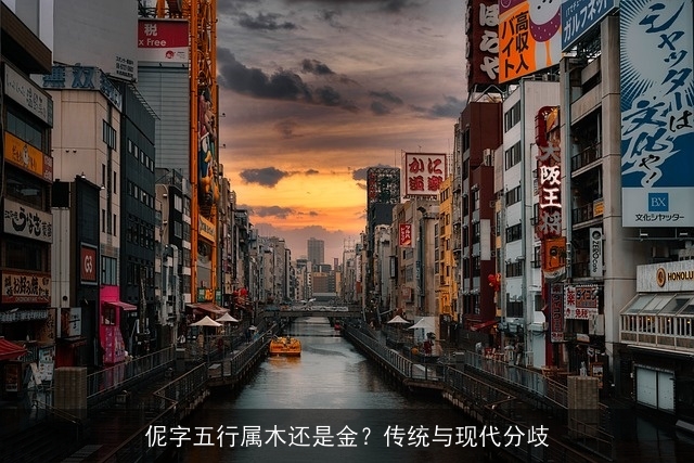 伲字五行属木还是金？传统与现代分歧