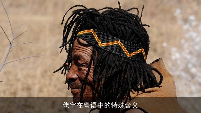 佬字在粤语中的特殊含义