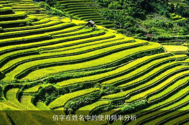 佰字在姓名中的使用频率分析