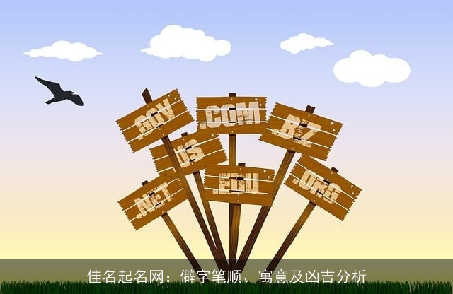 佳名起名网：僻字笔顺、寓意及凶吉分析