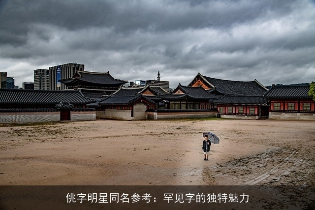 佻字明星同名参考：罕见字的独特魅力