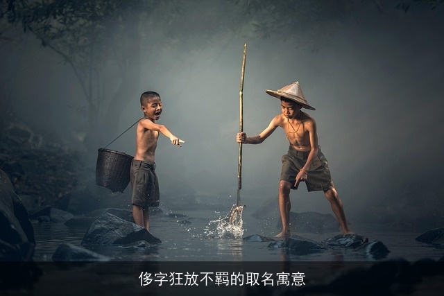 侈字狂放不羁的取名寓意