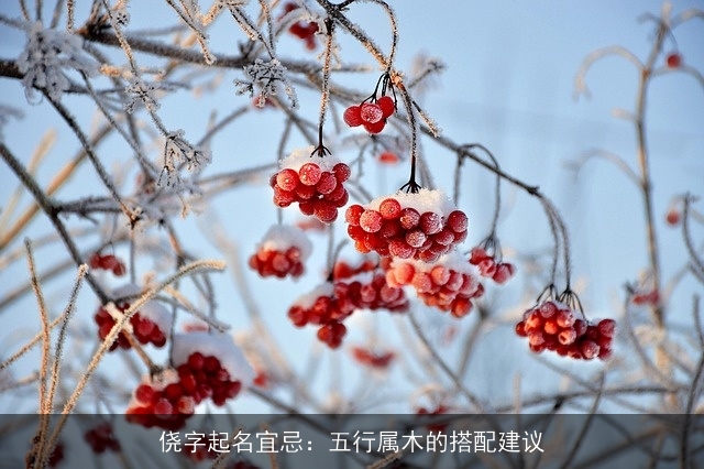 侥字起名宜忌：五行属木的搭配建议