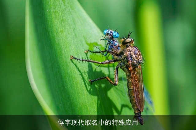 俘字现代取名中的特殊应用