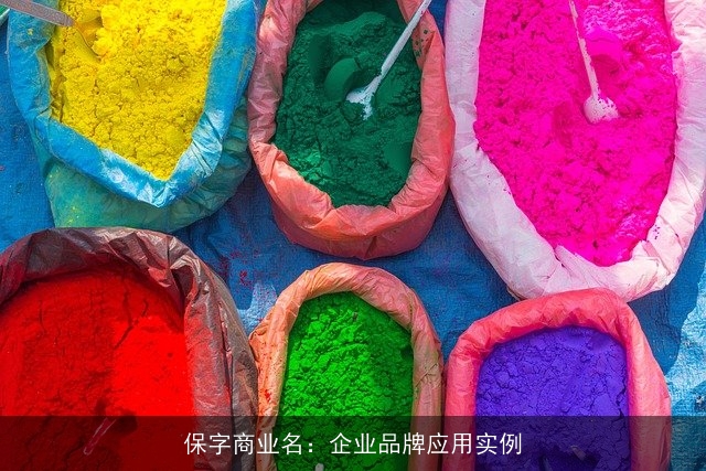 保字商业名：企业品牌应用实例