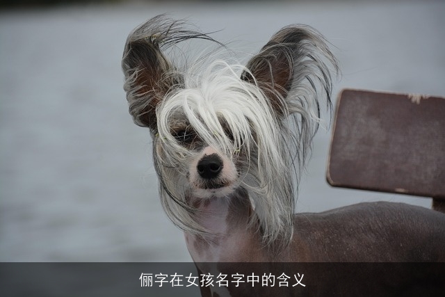 俪字在女孩名字中的含义