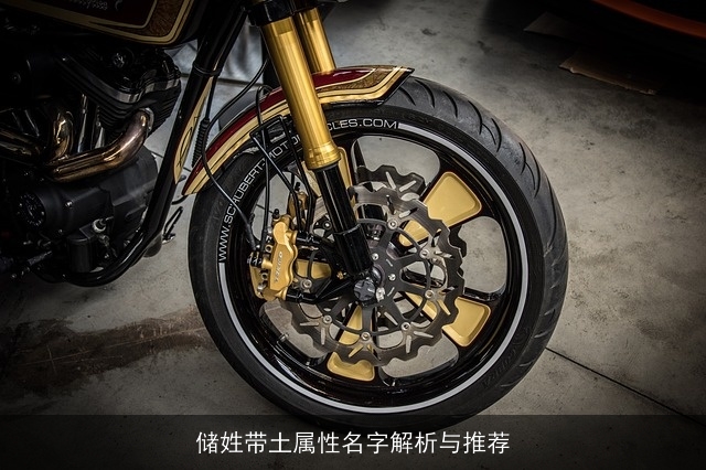 储姓带土属性名字解析与推荐