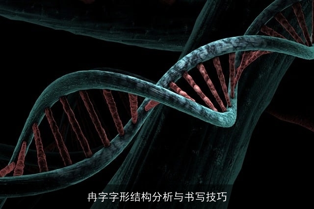 冉字字形结构分析与书写技巧