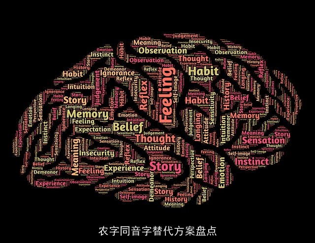 农字同音字替代方案盘点