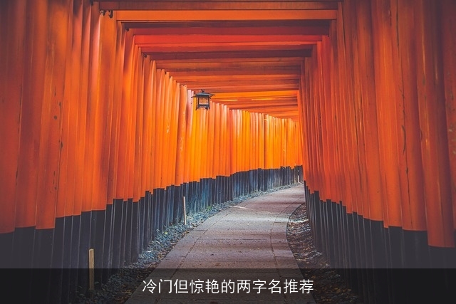 冷门但惊艳的两字名推荐
