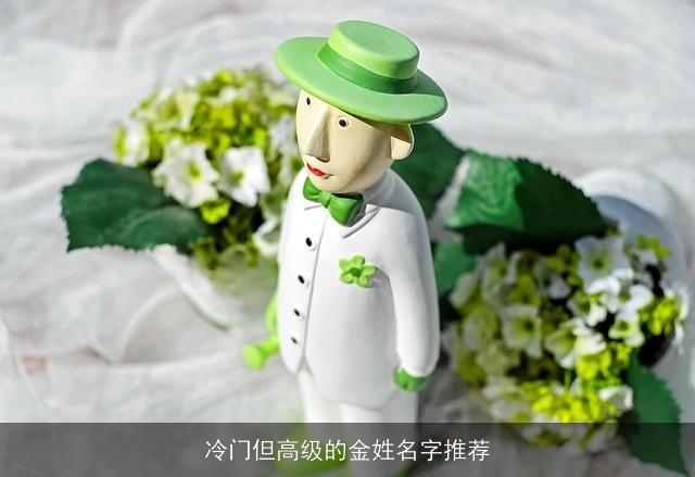 冷门但高级的金姓名字推荐