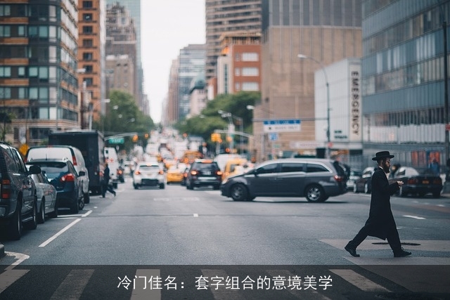 冷门佳名：套字组合的意境美学