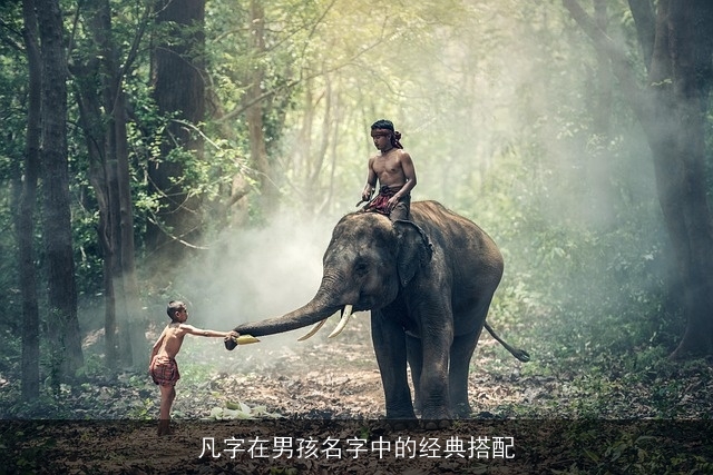 凡字在男孩名字中的经典搭配