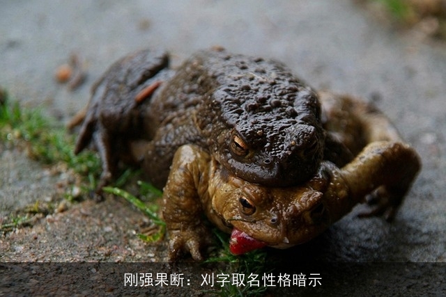 刚强果断：刈字取名性格暗示