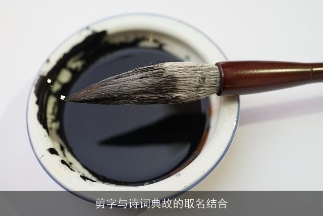 剪字与诗词典故的取名结合