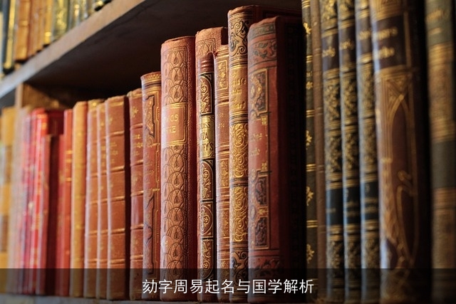 劾字周易起名与国学解析