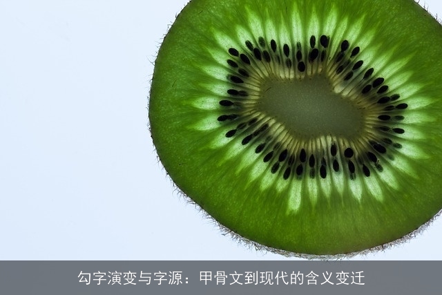 勾字演变与字源：甲骨文到现代的含义变迁