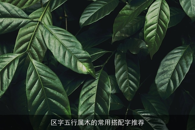 区字五行属木的常用搭配字推荐
