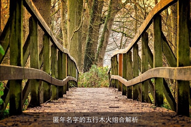 匿年名字的五行木火组合解析