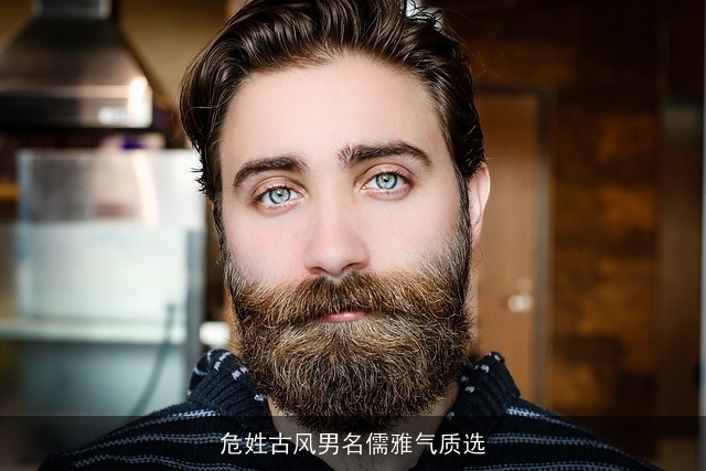 危姓古风男名儒雅气质选