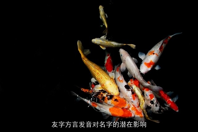 友字方言发音对名字的潜在影响
