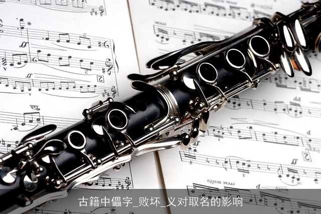 古籍中儡字_败坏_义对取名的影响
