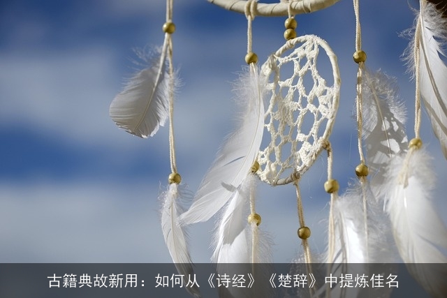 古籍典故新用：如何从《诗经》《楚辞》中提炼佳名