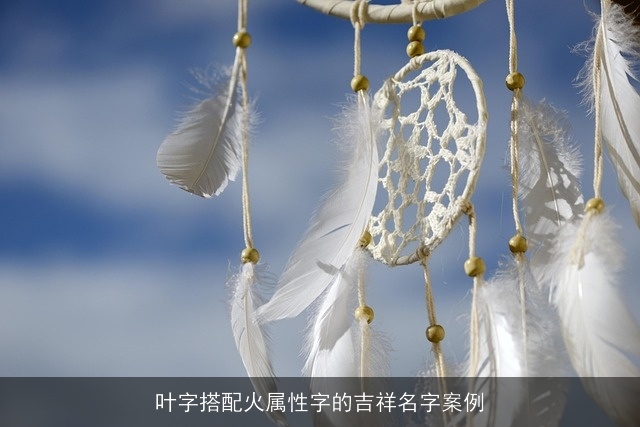 叶字搭配火属性字的吉祥名字案例