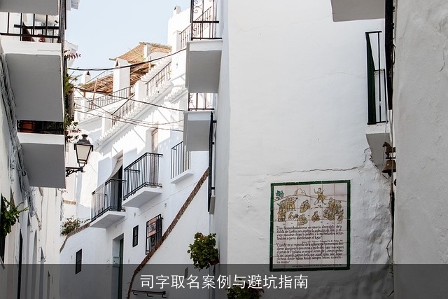 司字取名案例与避坑指南