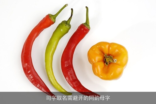 司字取名需避开的同韵母字