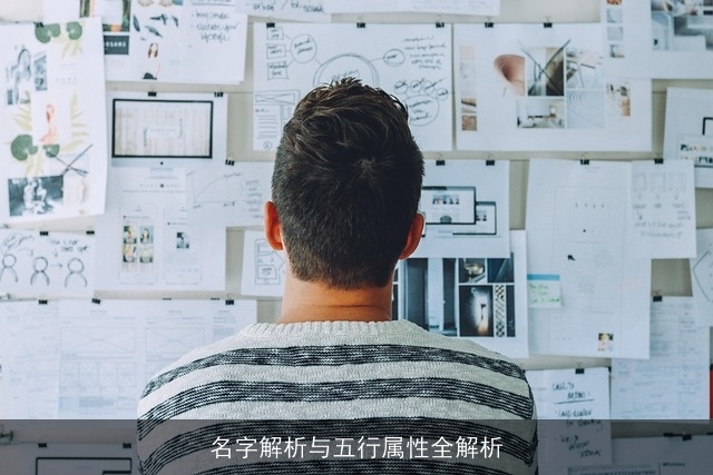 名字解析与五行属性全解析