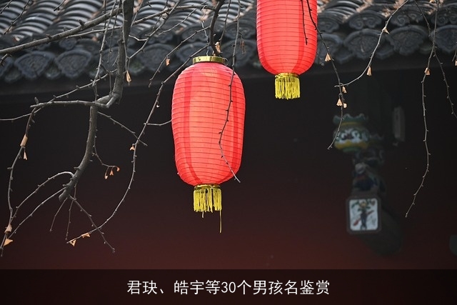 君玦、皓宇等30个男孩名鉴赏