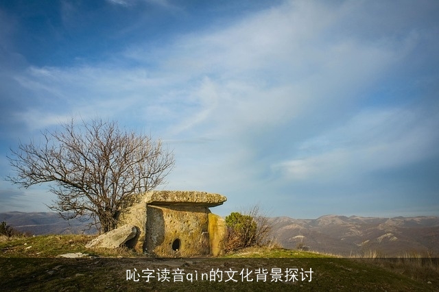 吣字读音qìn的文化背景探讨