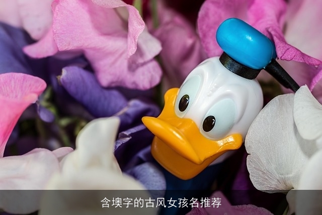 含墺字的古风女孩名推荐