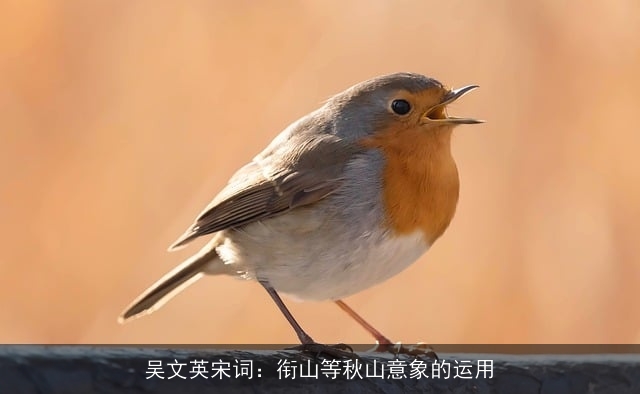 吴文英宋词：衔山等秋山意象的运用